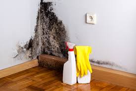 Best Biohazard Mold Removal  in Southside Place, TX